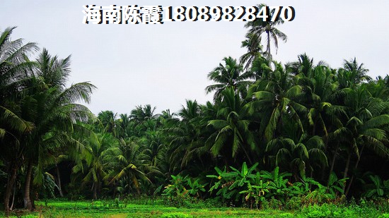娄底的房价能降吗？