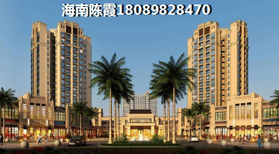 海南新房不能买