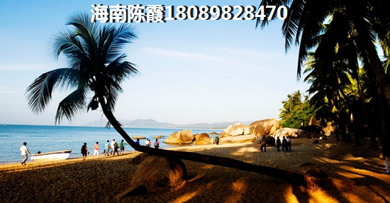 海墨鱼炖排骨配什么主食好吃