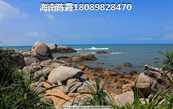 海南五指山檀溪还有生纸空间吗
