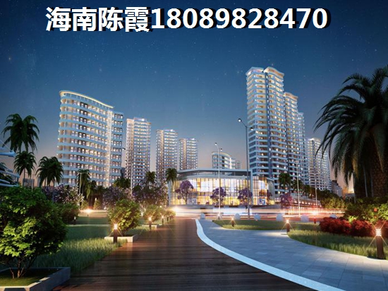 合肥滨湖湿地森林公园过年开放吗