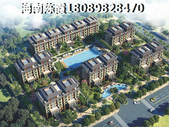 一条狗叫什么歌的电影