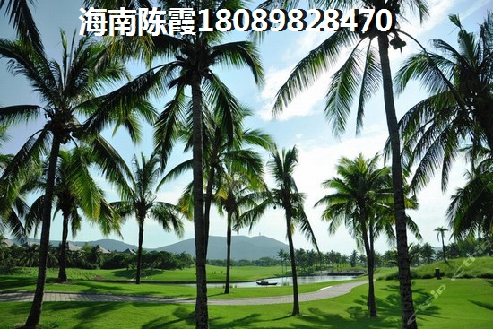 威信县买房2025房产房价吗？