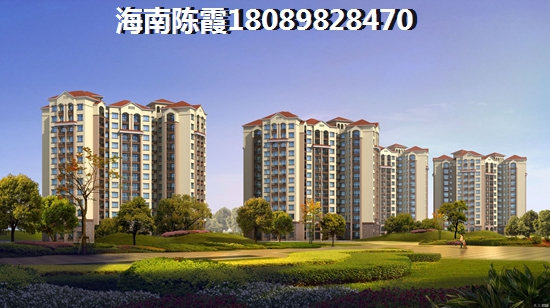 武当金顶景点什么传说