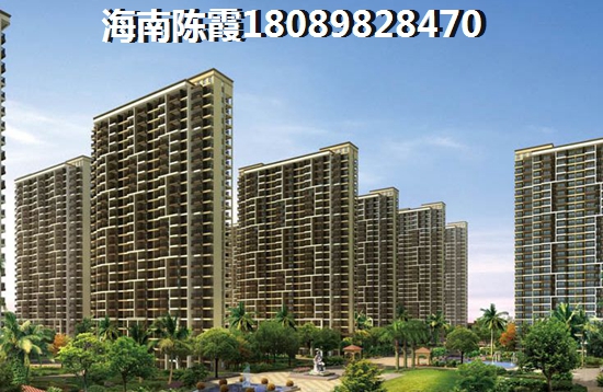 提着灯笼的小姑娘是什么歌曲